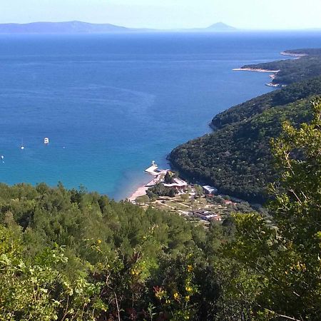 North Adriatic View Apartment Rabac Ngoại thất bức ảnh