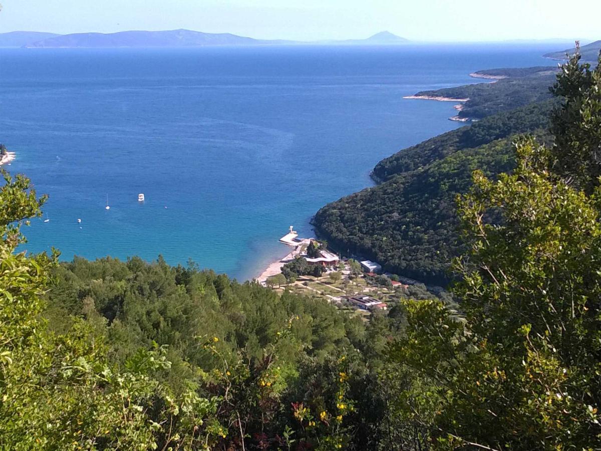 North Adriatic View Apartment Rabac Ngoại thất bức ảnh